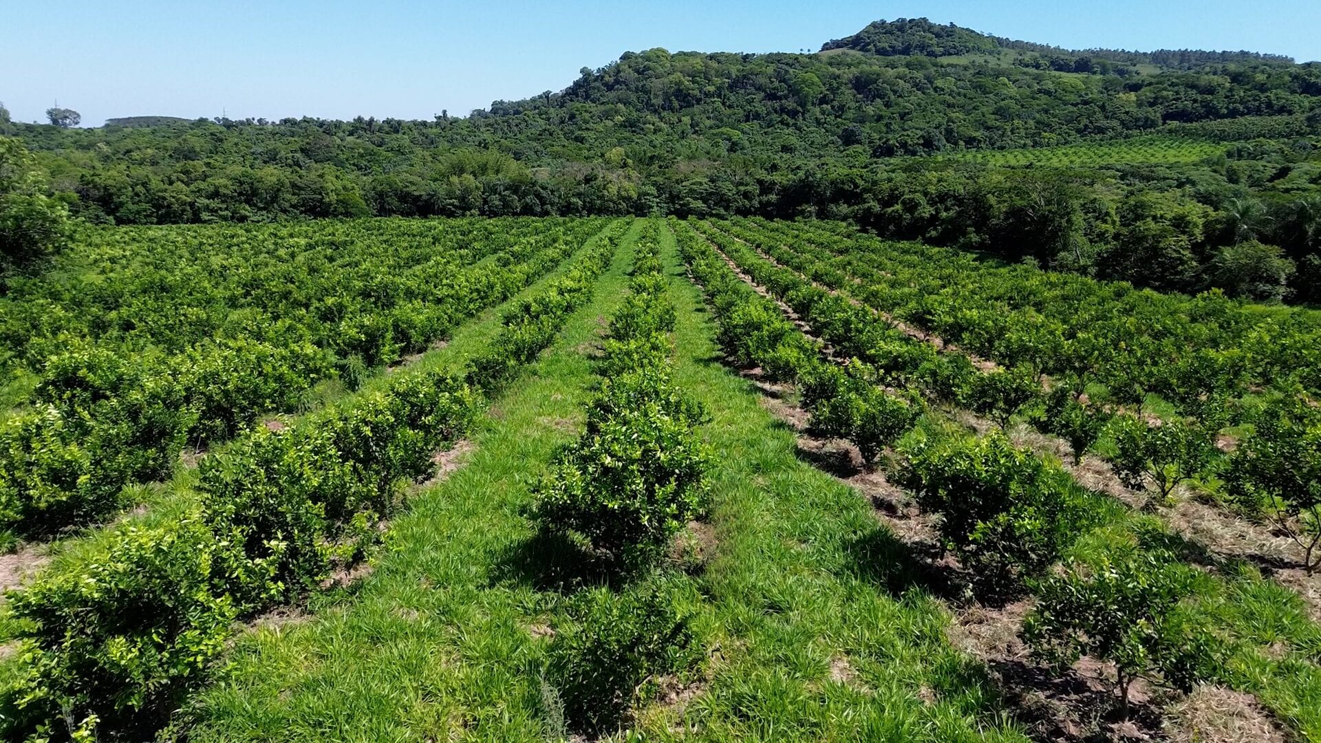 Nature Invest Swiss AG — Bio-Liegenschaften